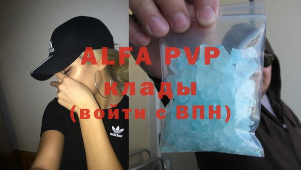 a pvp Белокуриха